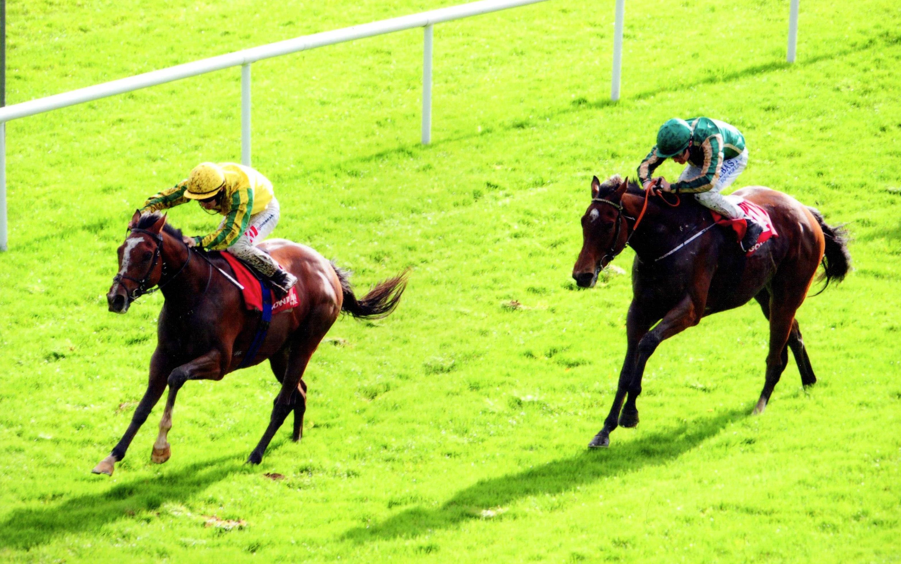 INSCRIBE digs deep at Gowran Park 11th October 2017